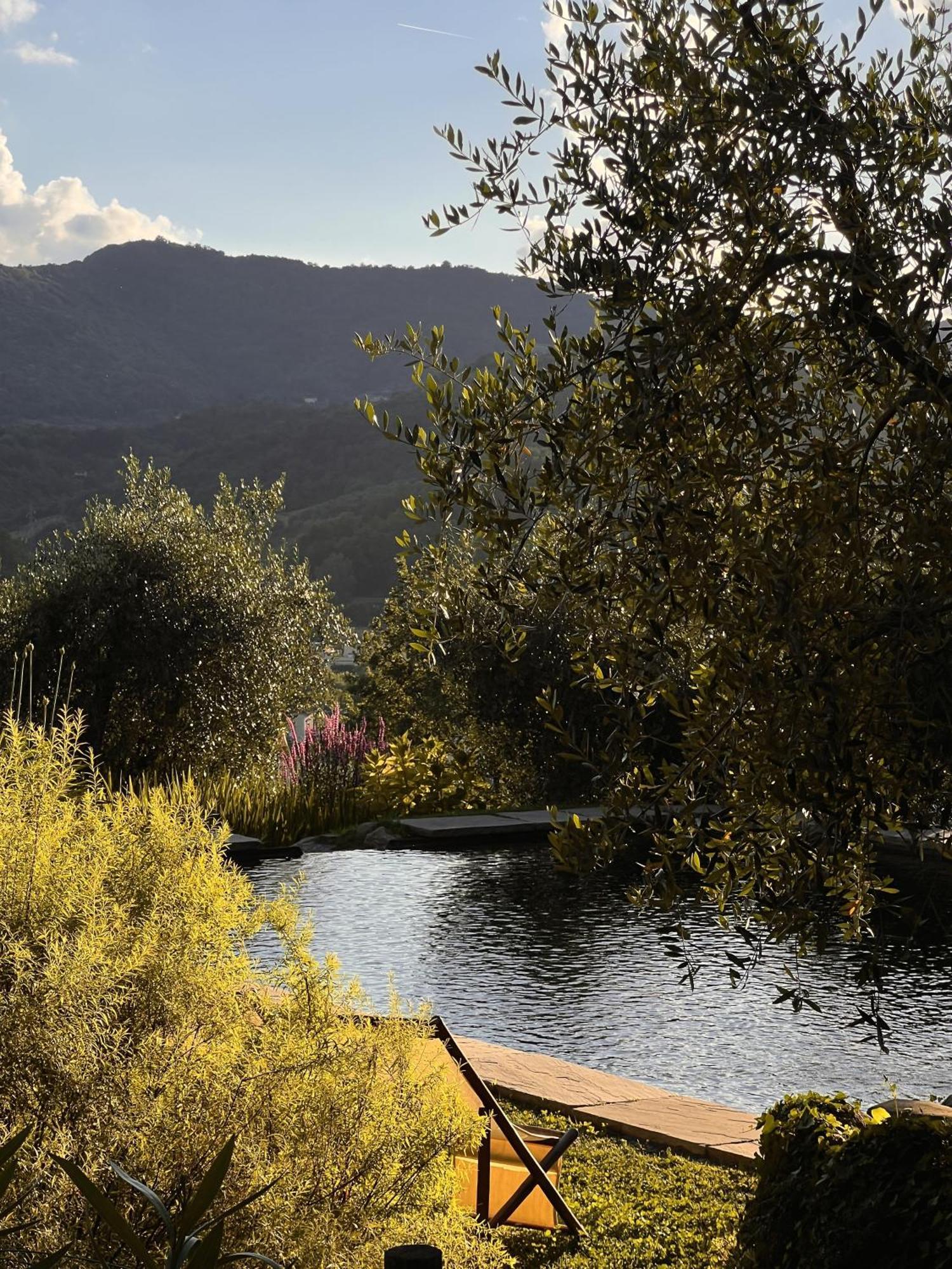 Tenuta Di Tramonte Boutique Hotel Lukka Zewnętrze zdjęcie